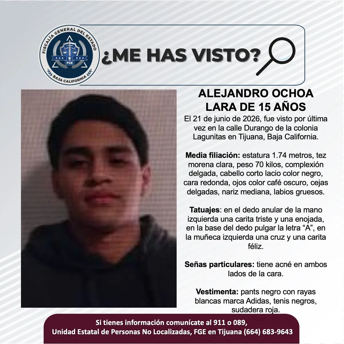 pesquisa_alejandro_ochoa_lara_15