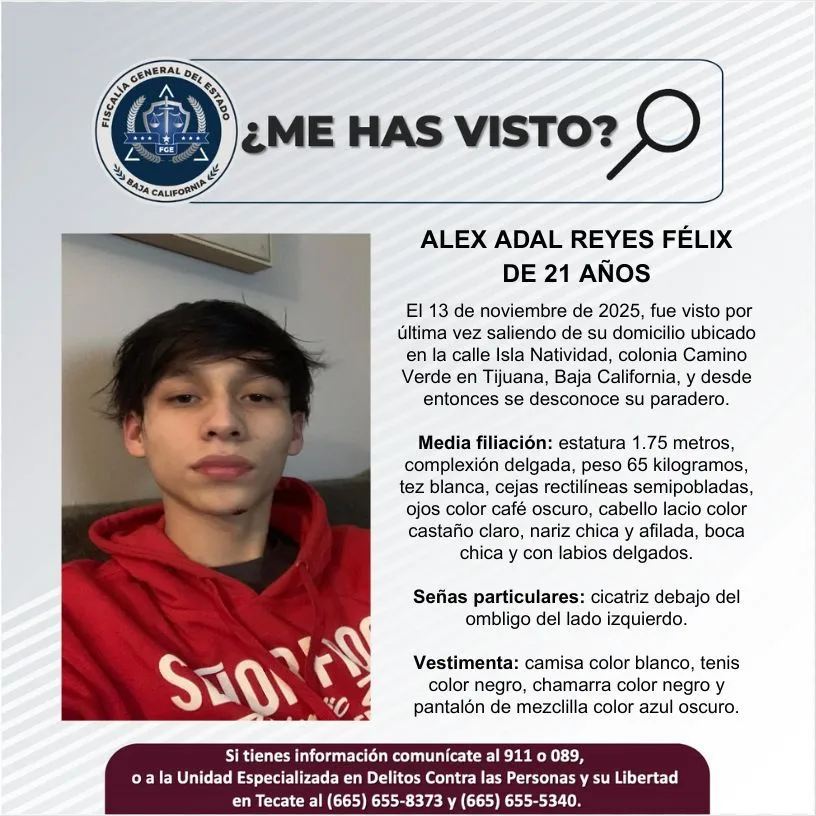 pesquisa_alex_adal_reyes_félix_21
