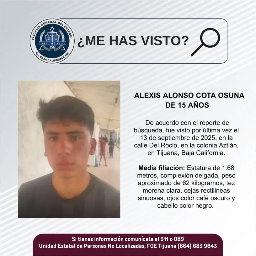 pesquisa_alexis_alonso_cota_osuna_15