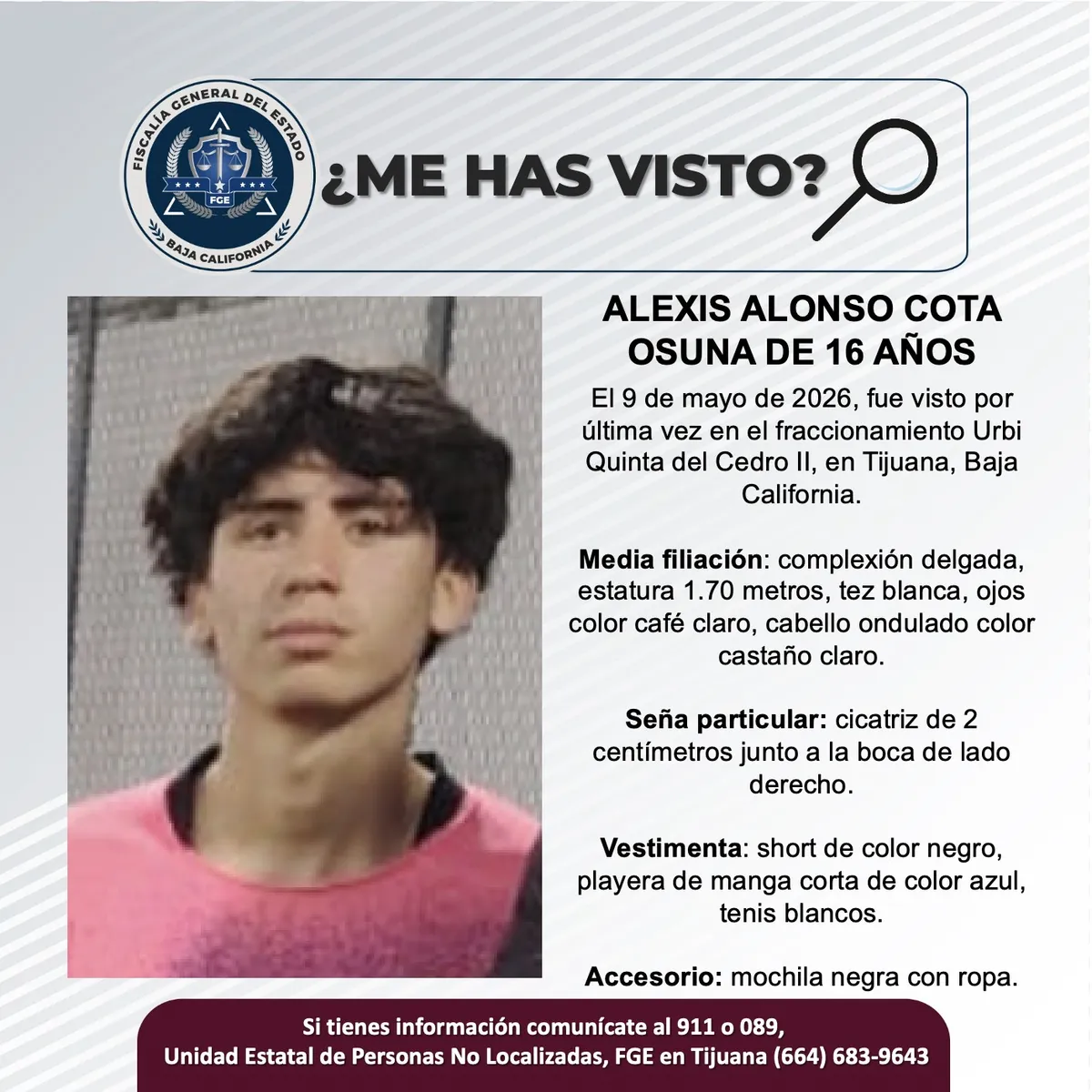 pesquisa_alexis_alonso_cota_osuna_16