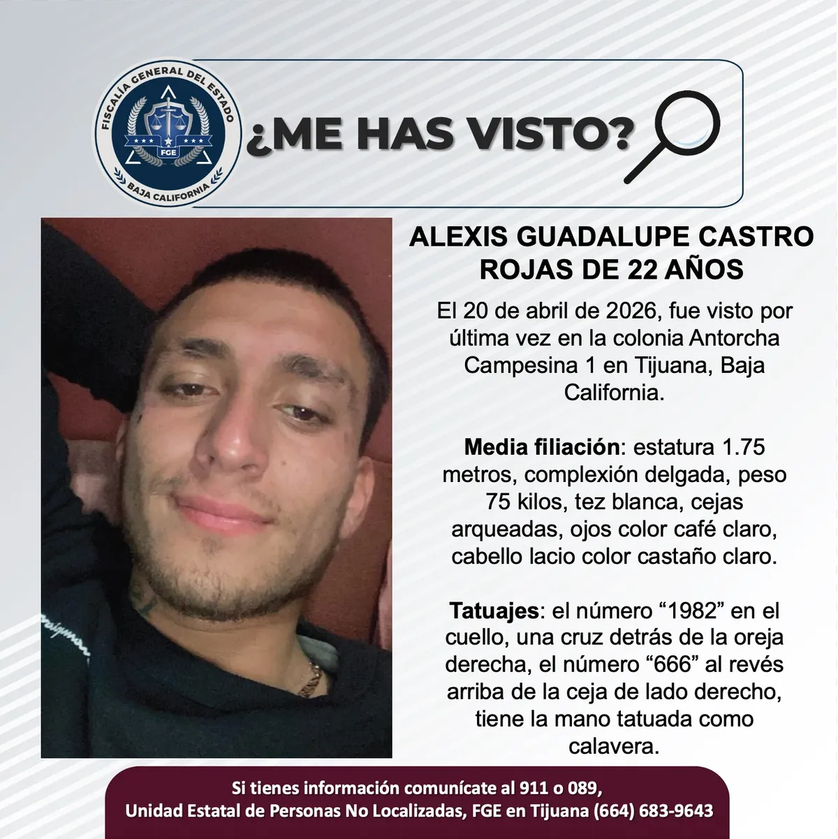 pesquisa_alexis_guadalupe_castro_rojas_22