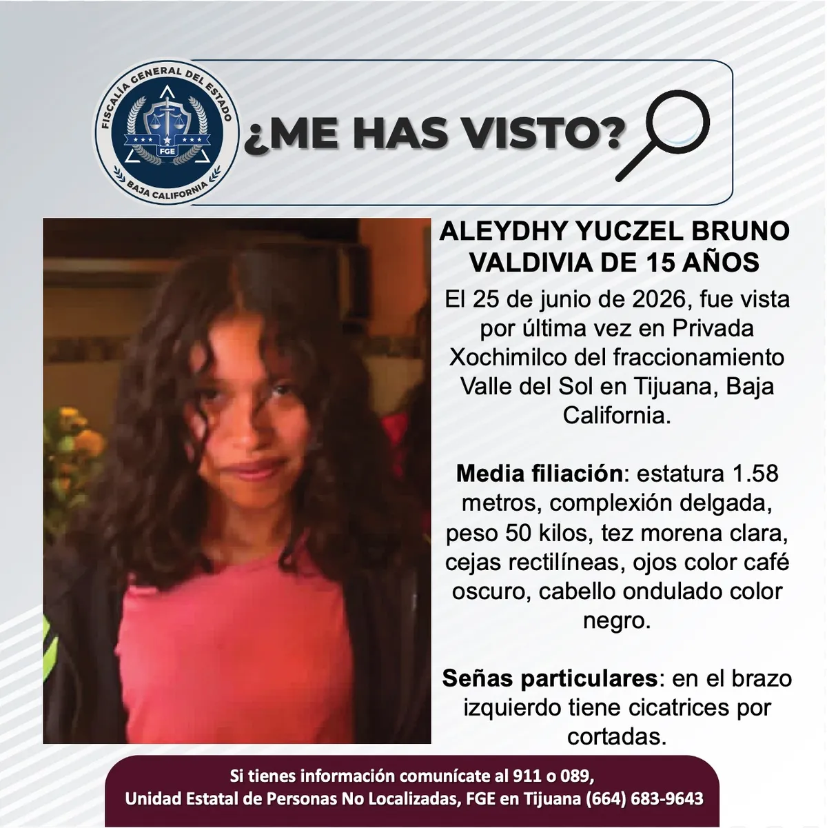pesquisa_aleydhy_yuczel_bruno_valdivia_15