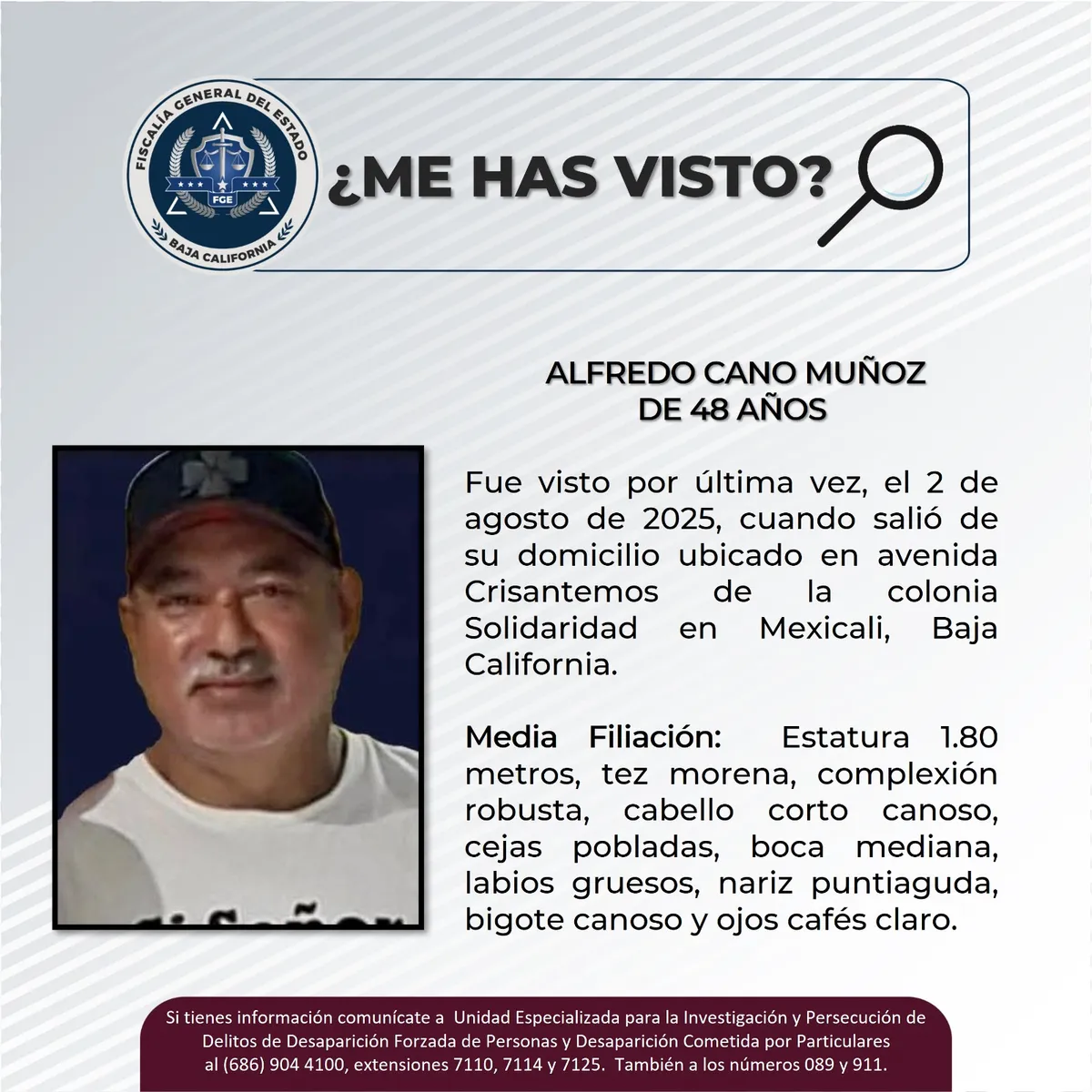 pesquisa_alfredo_cano_muñoz_48