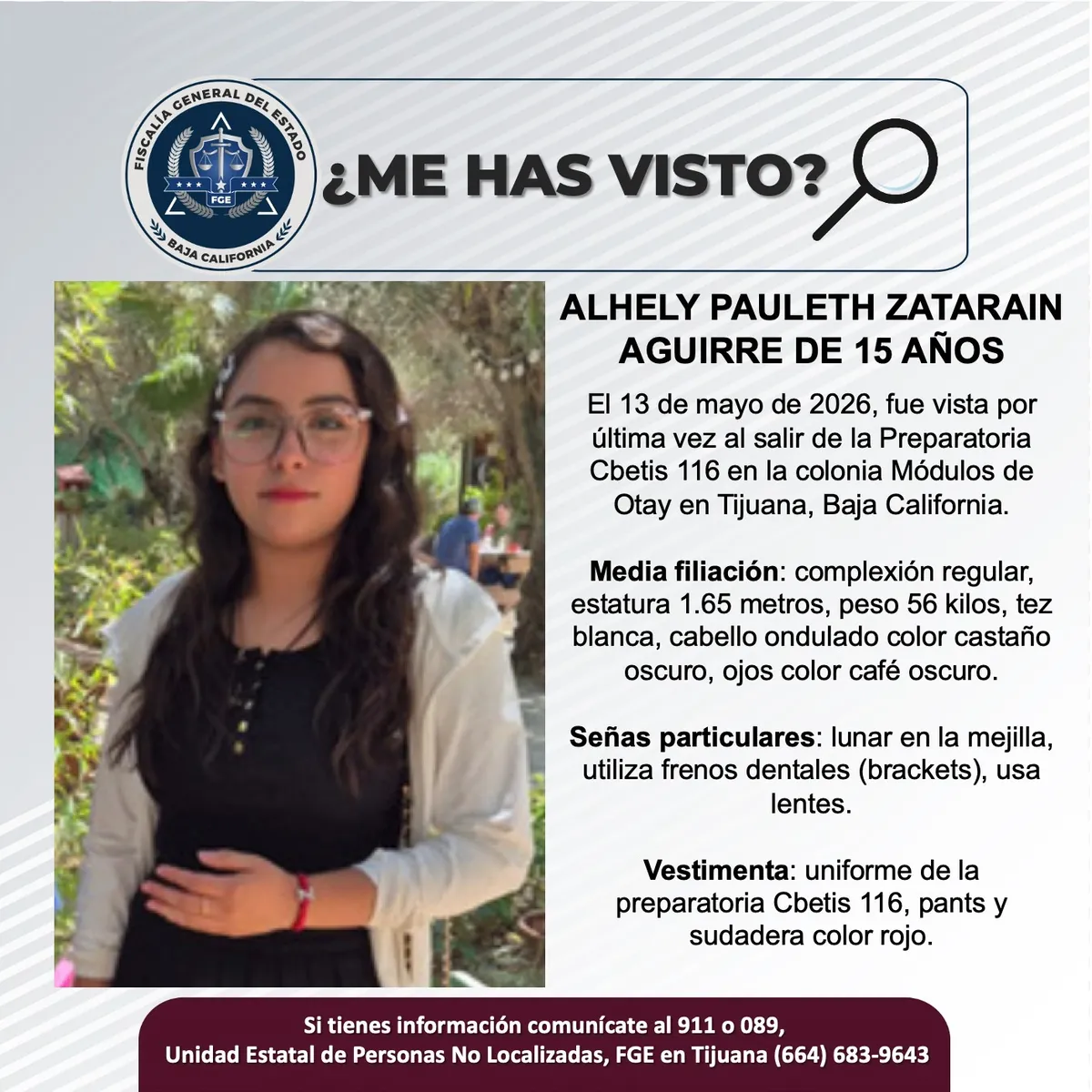 pesquisa_alhely_pauleth_zatarain_aguirre_15