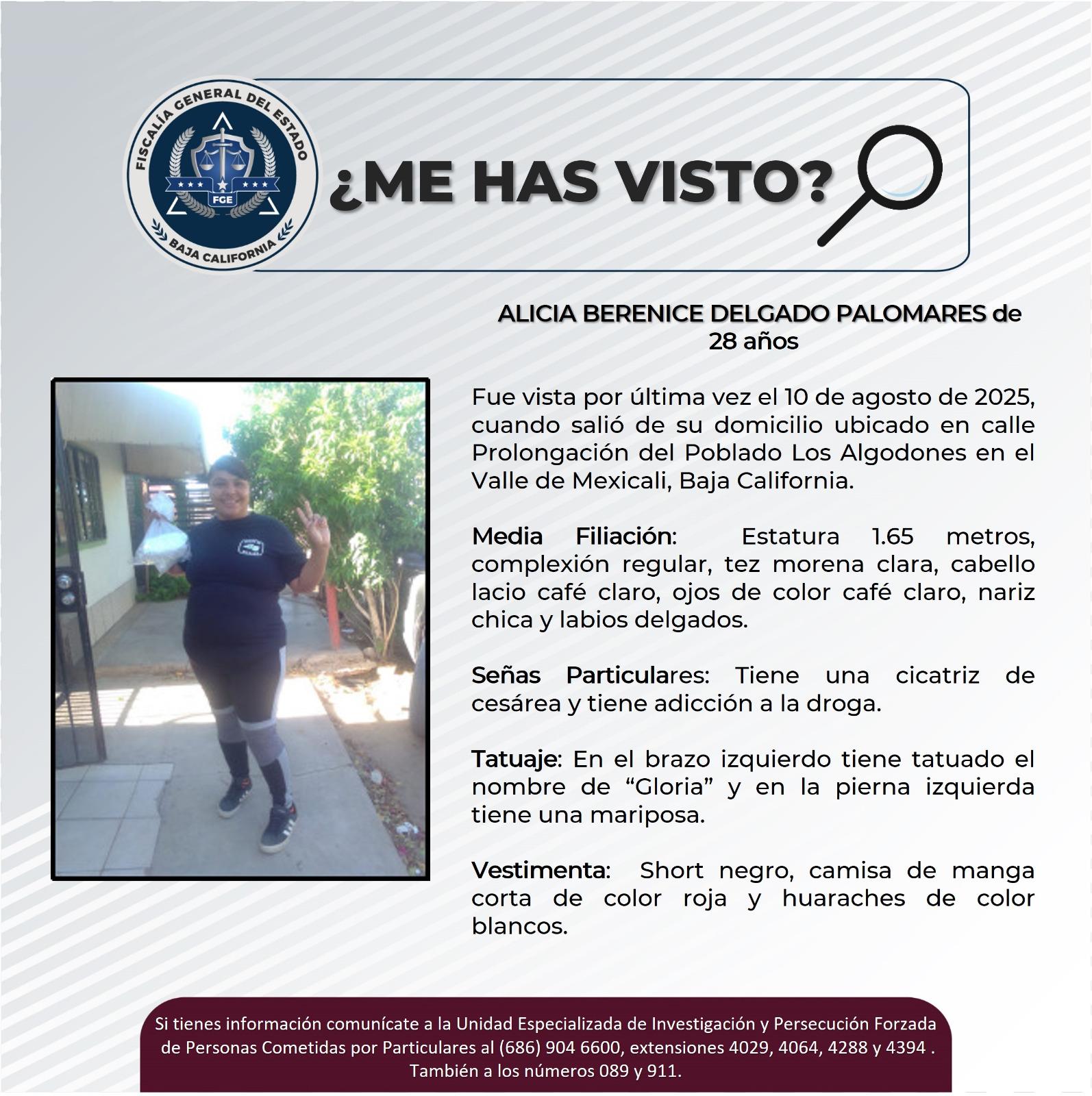 pesquisa_alicia_berenice_delgado_palomares_28