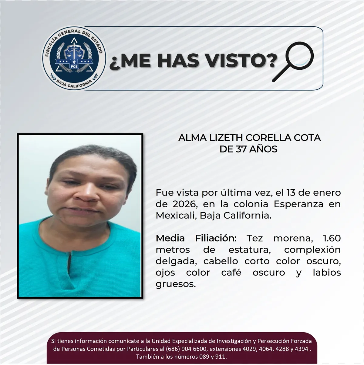 pesquisa_alma_lizeth_corella_cota_37