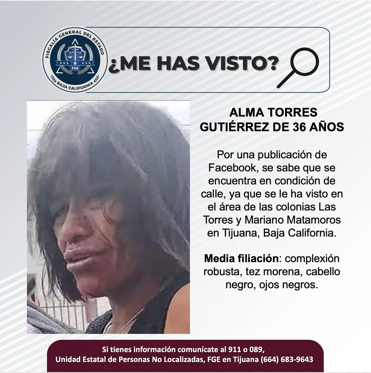 pesquisa_alma_torres_gutiérrez_36