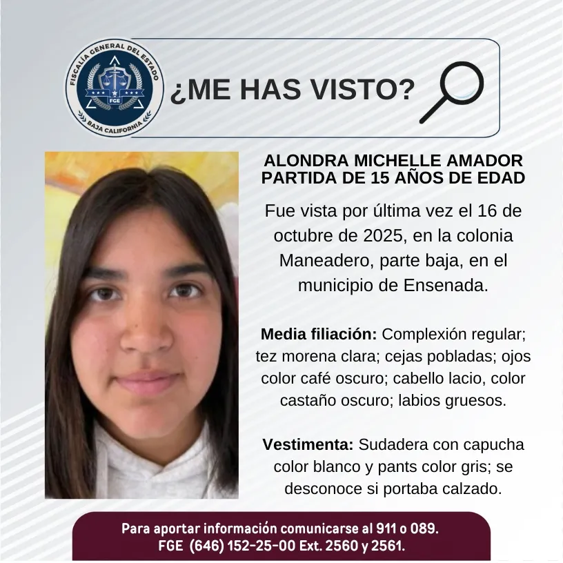 pesquisa_alondra_michelle_amador_partida_15