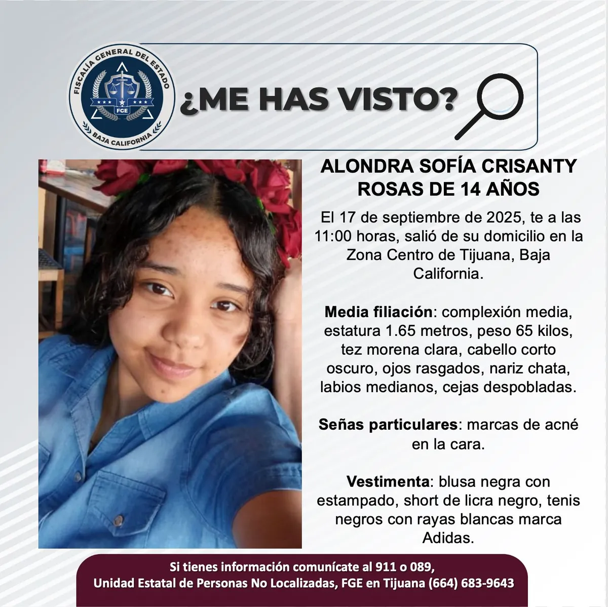 pesquisa_alondra_sofía_crisanty_rosas_14