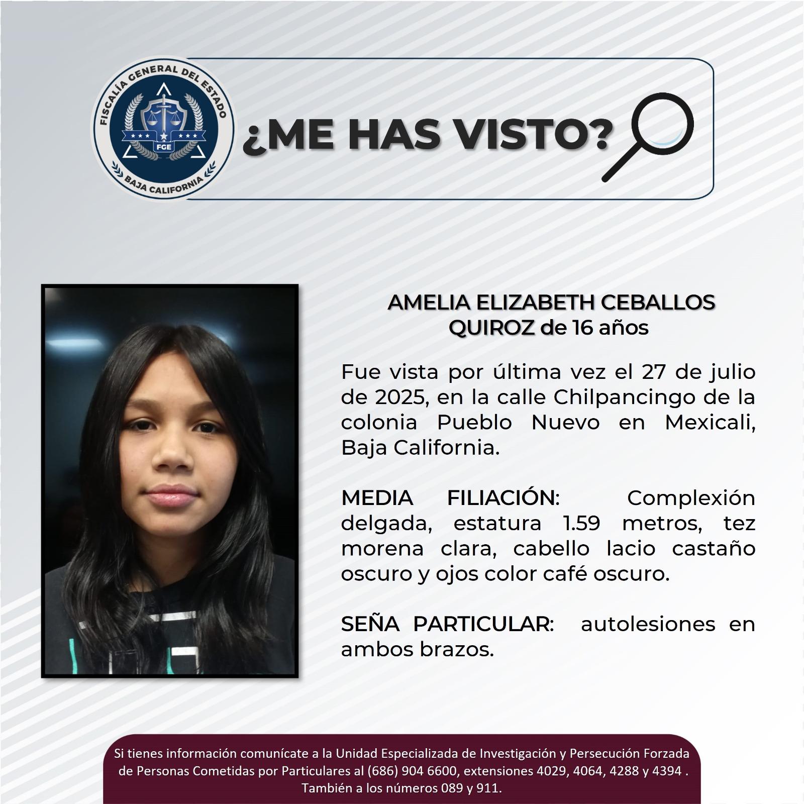 pesquisa_amelia_elizabeth_ceballos_quiroz_16