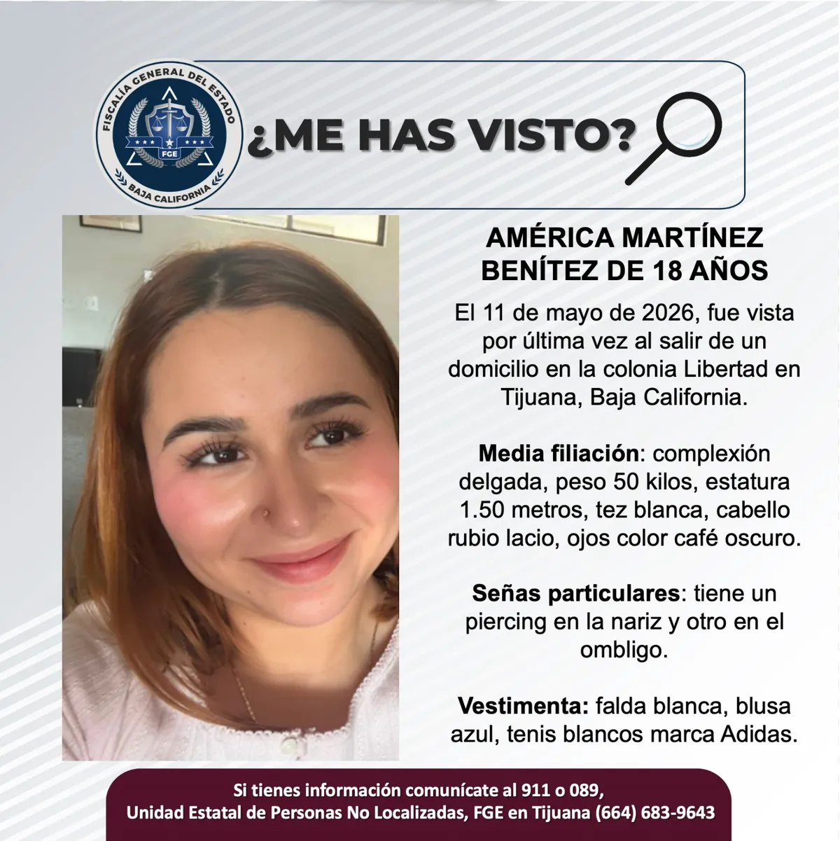 pesquisa_américa_martínez_benítez_18