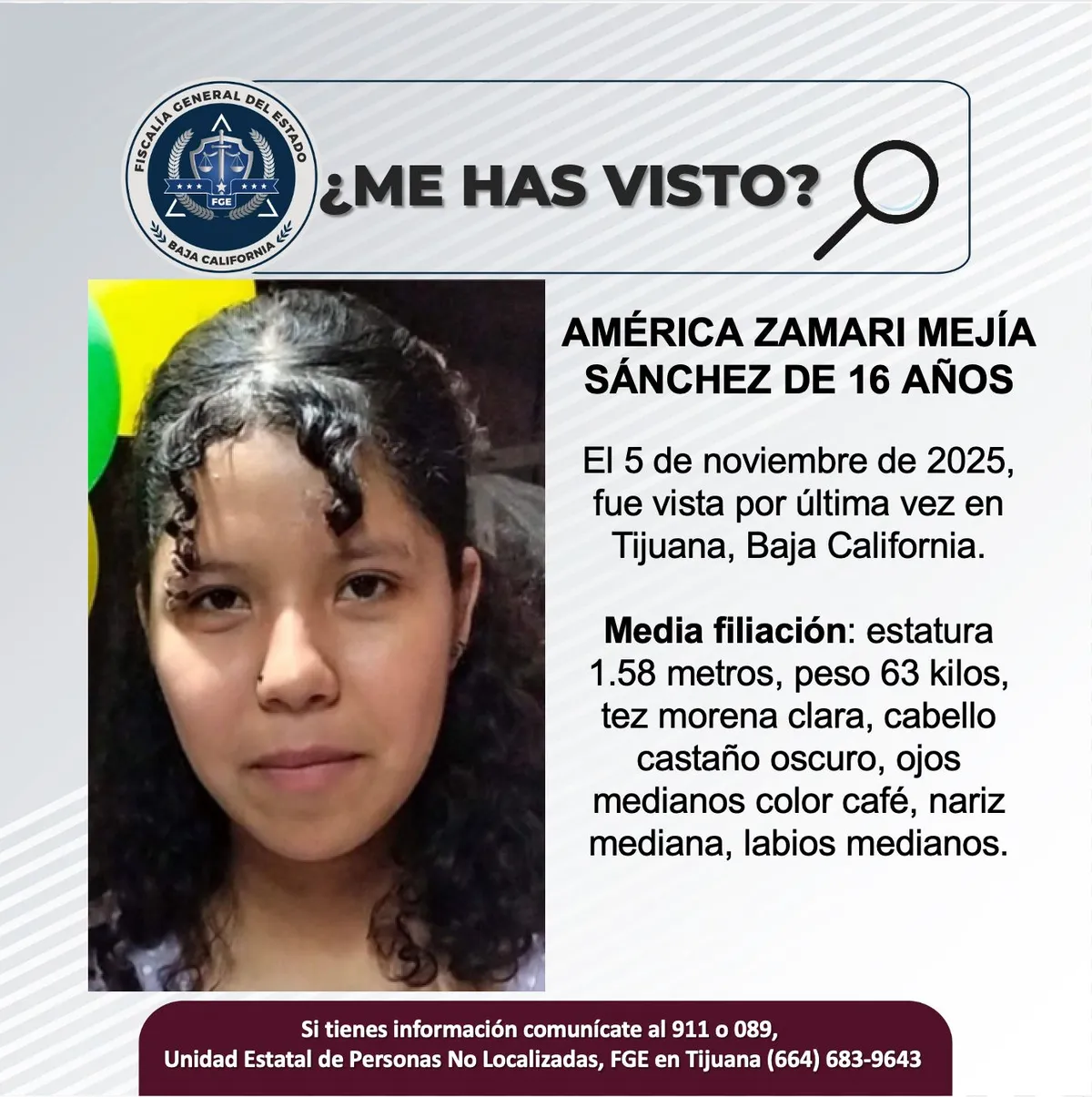 pesquisa_américa_zamari_mejía_sánchez_16