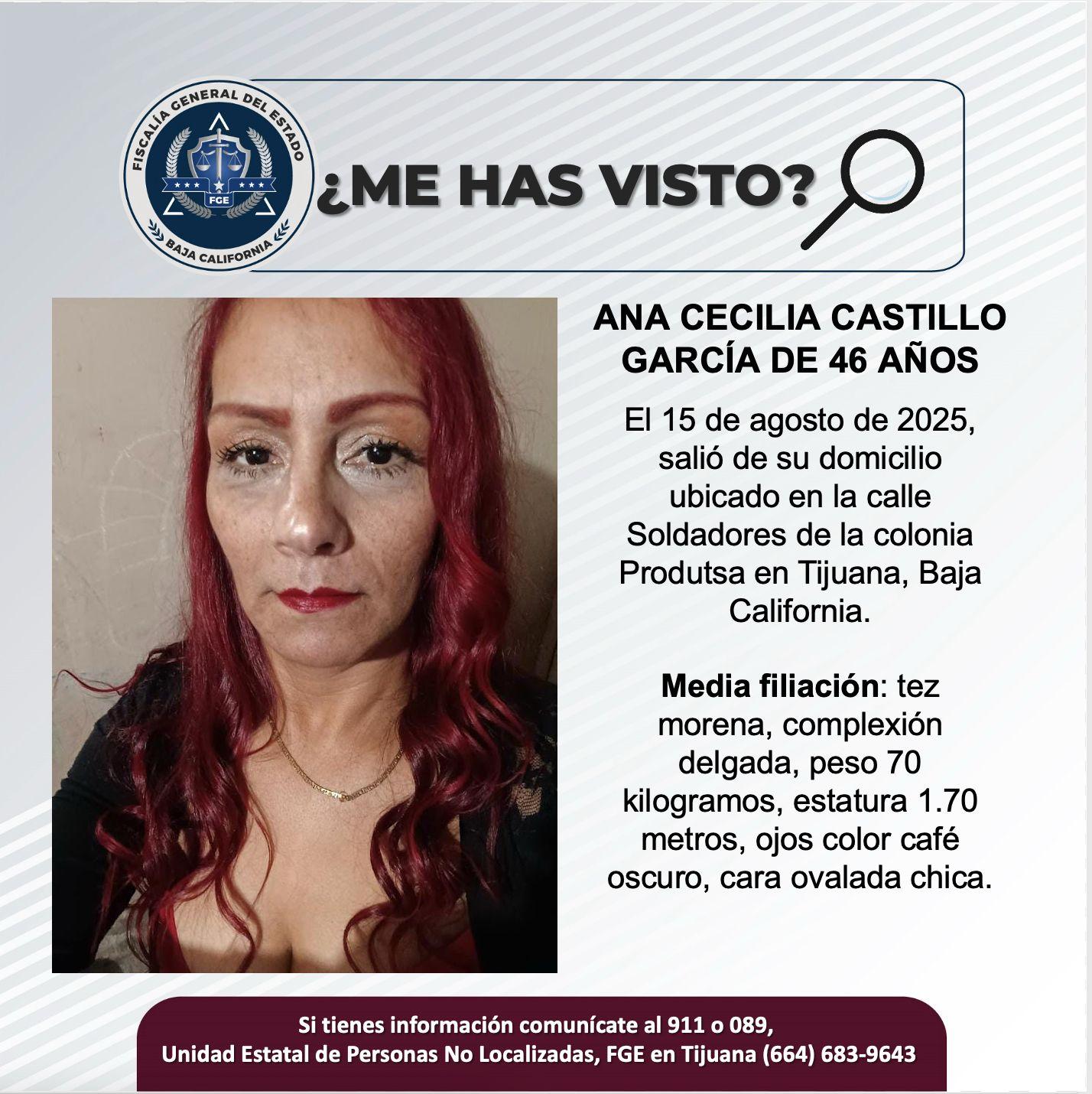 pesquisa_ana_cecilia_castillo_garcía_46