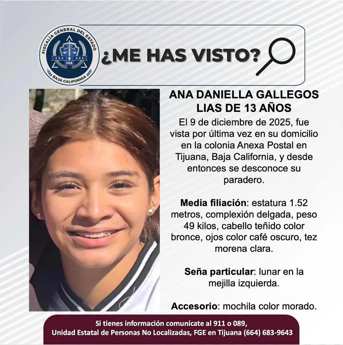 pesquisa_ana_daniella_gallegos_lias_13