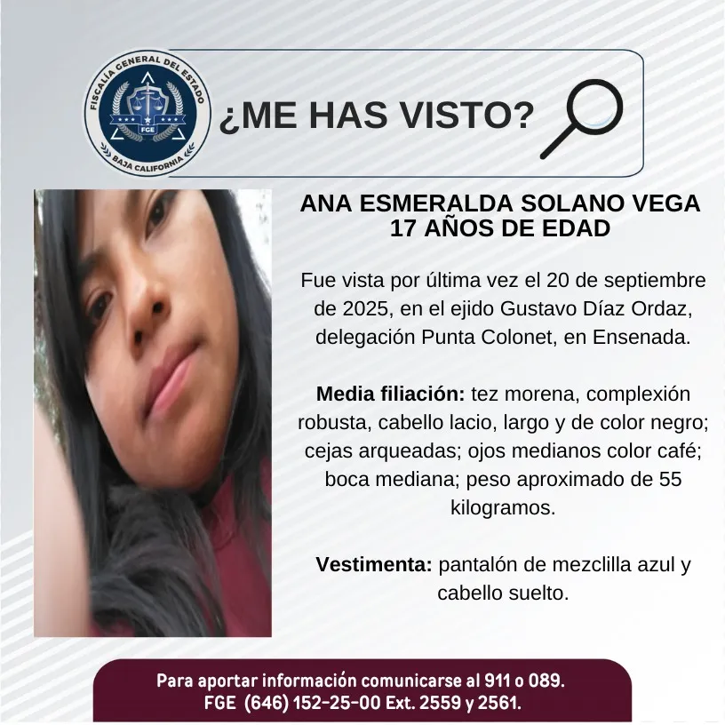 pesquisa_ana_esmeralda_solano_vega_17