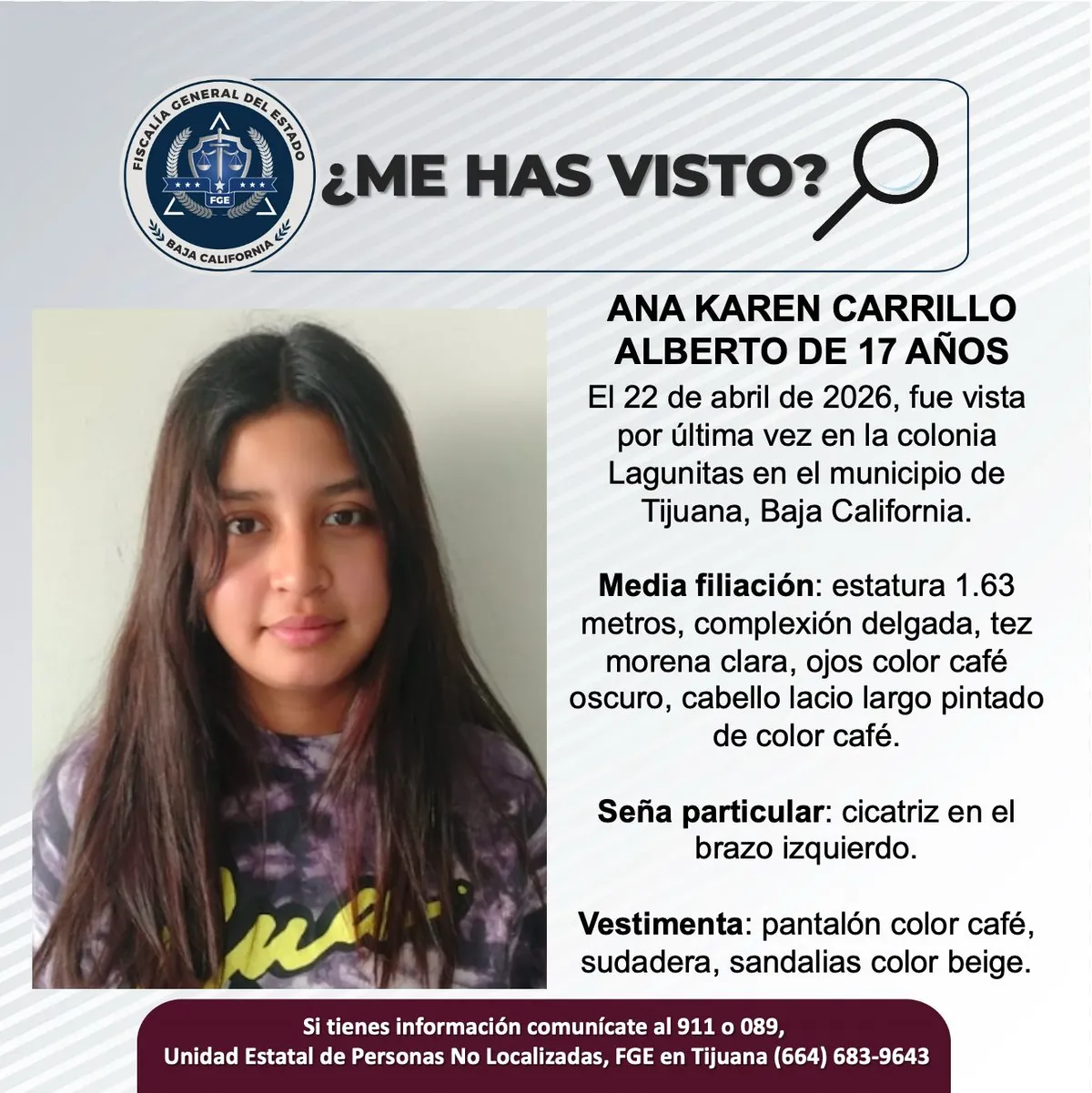 pesquisa_ana_karen_carrillo_alberto_17