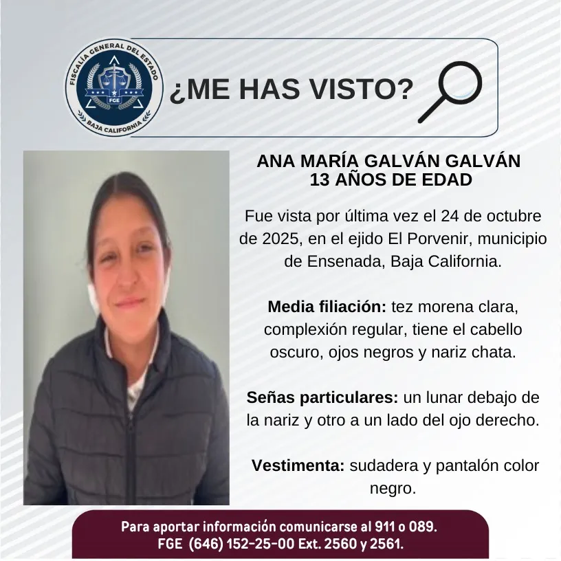 pesquisa_ana_maría_galván_galván_13