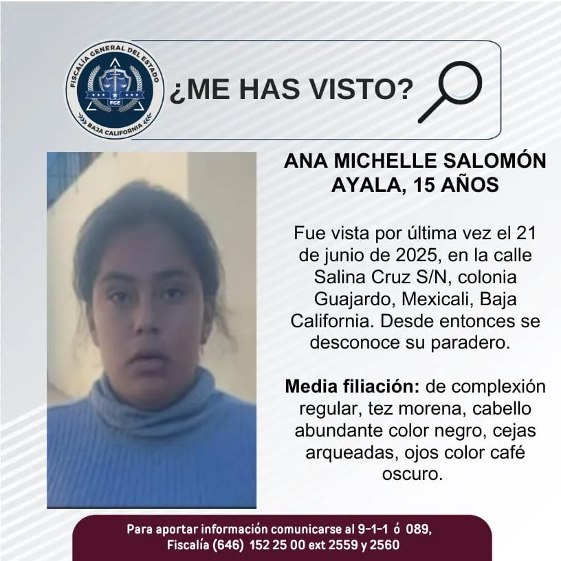 pesquisa_ana_michelle_salomón_ayala_15