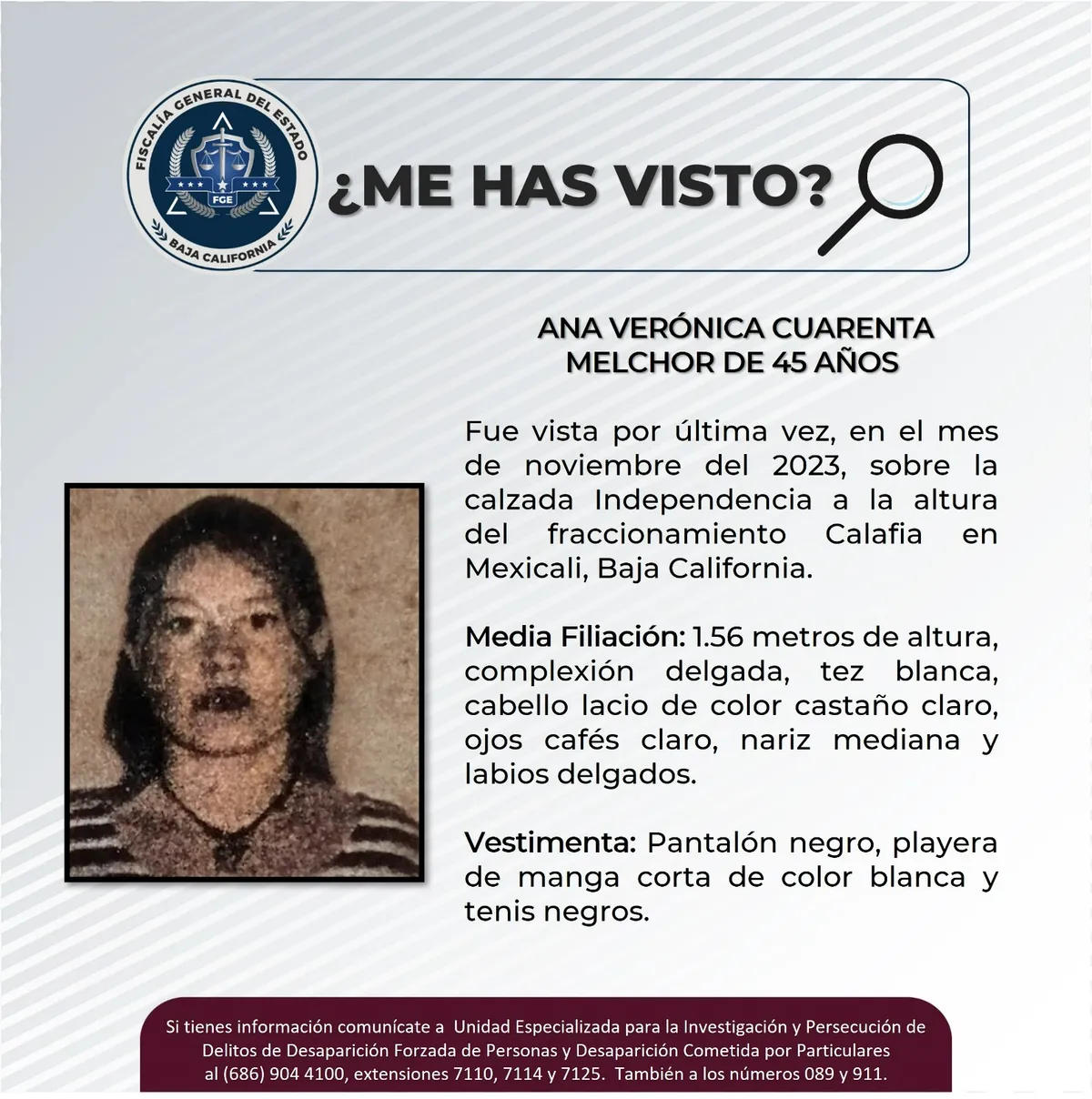 pesquisa_ana_verónica_cuarenta_melchor_45