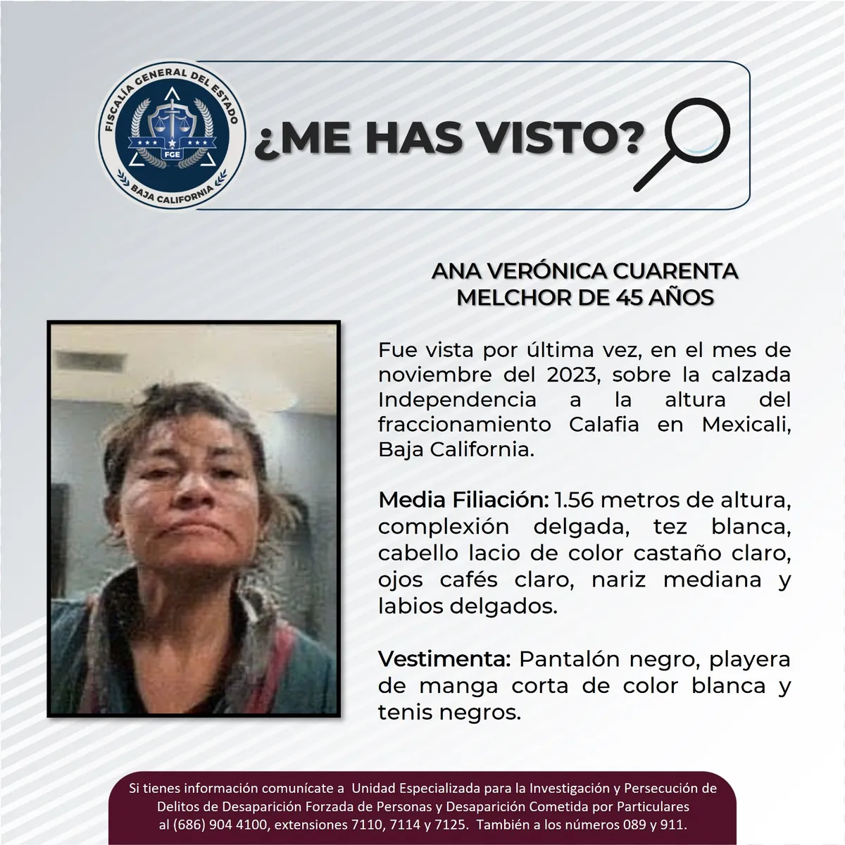 pesquisa_ana_verónica_cuarenta_melchor_45_b