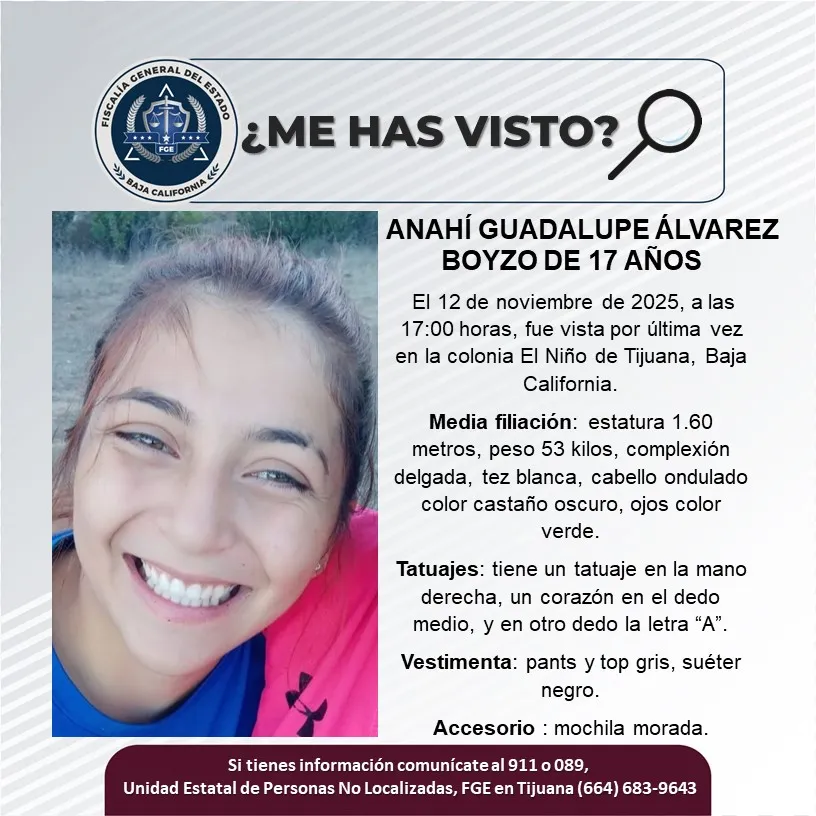 pesquisa_anahí_guadalupe_álvarez_boyzo_17