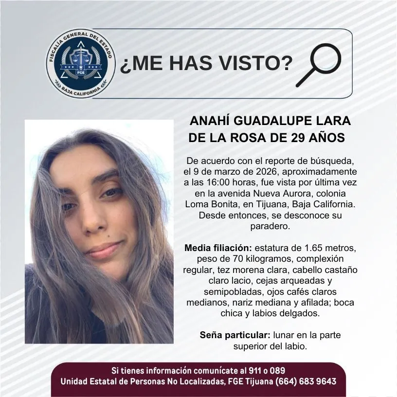 pesquisa_anahí_guadalupe_lara_de_la_rosa_29