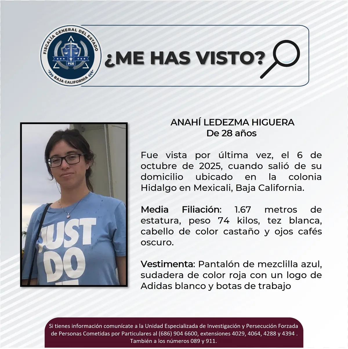 pesquisa_anahí_ledezma_higuera_28