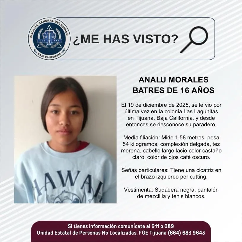 pesquisa_analu_morales_batres_16