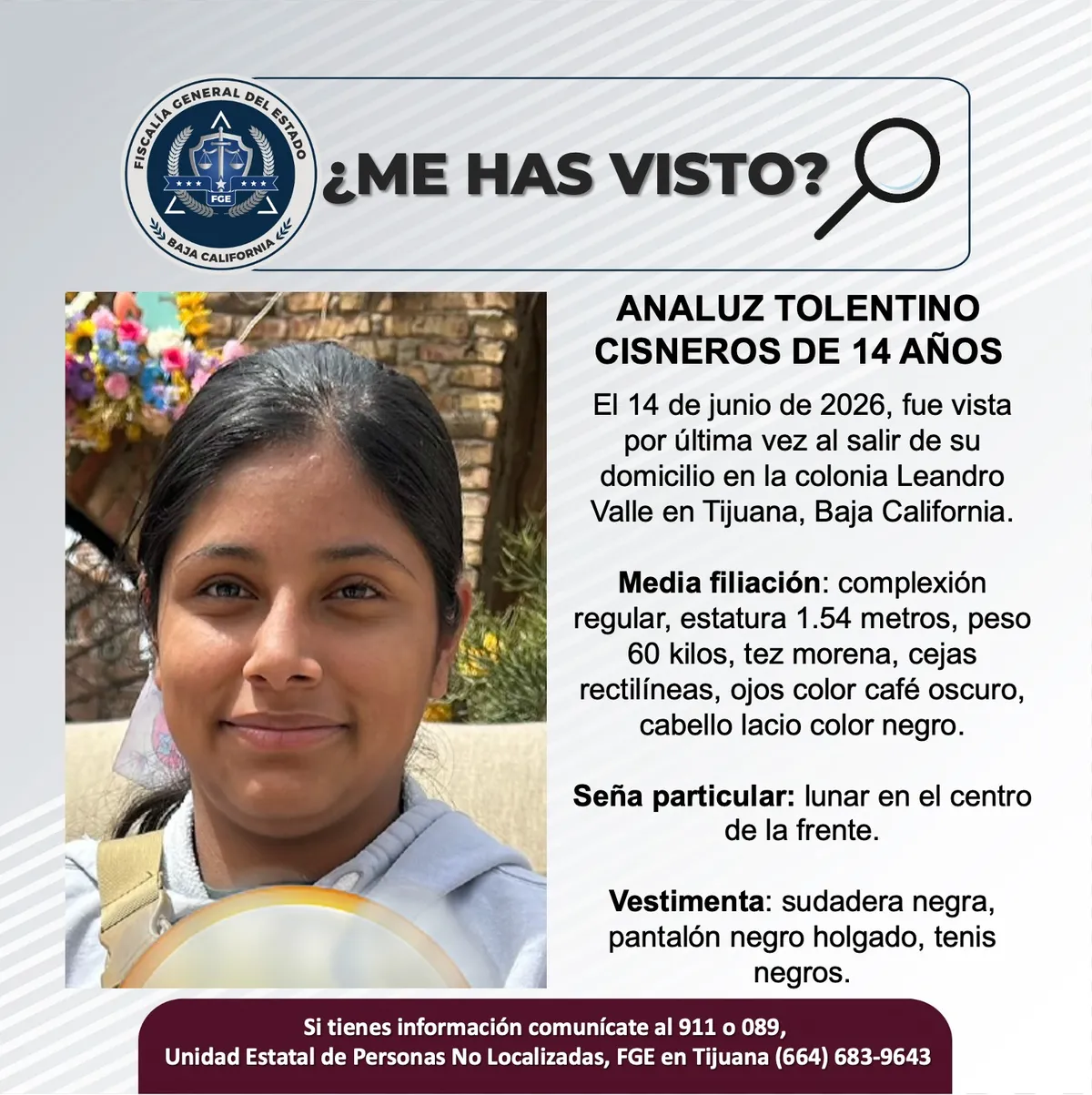 pesquisa_analuz_tolentino_cisneros_14