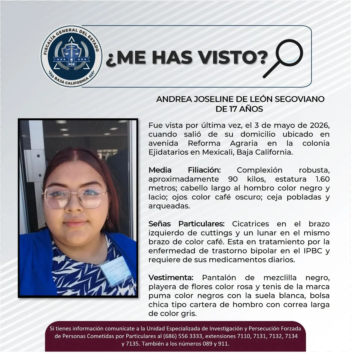 pesquisa_andrea_joseline_de_león_segoviano_17