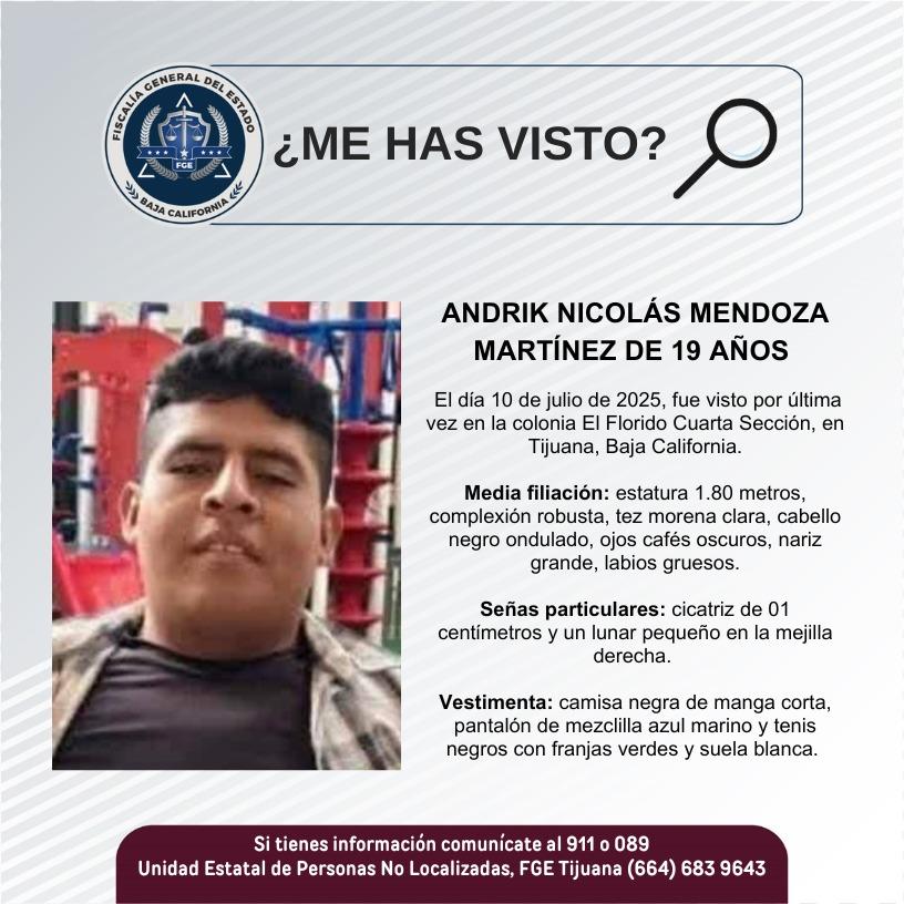 pesquisa_andrik_nicolás_mendoza_martínez_19