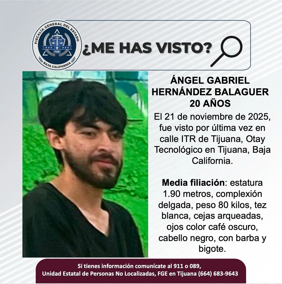 pesquisa_ángel_gabriel_hernández_balaguer_20