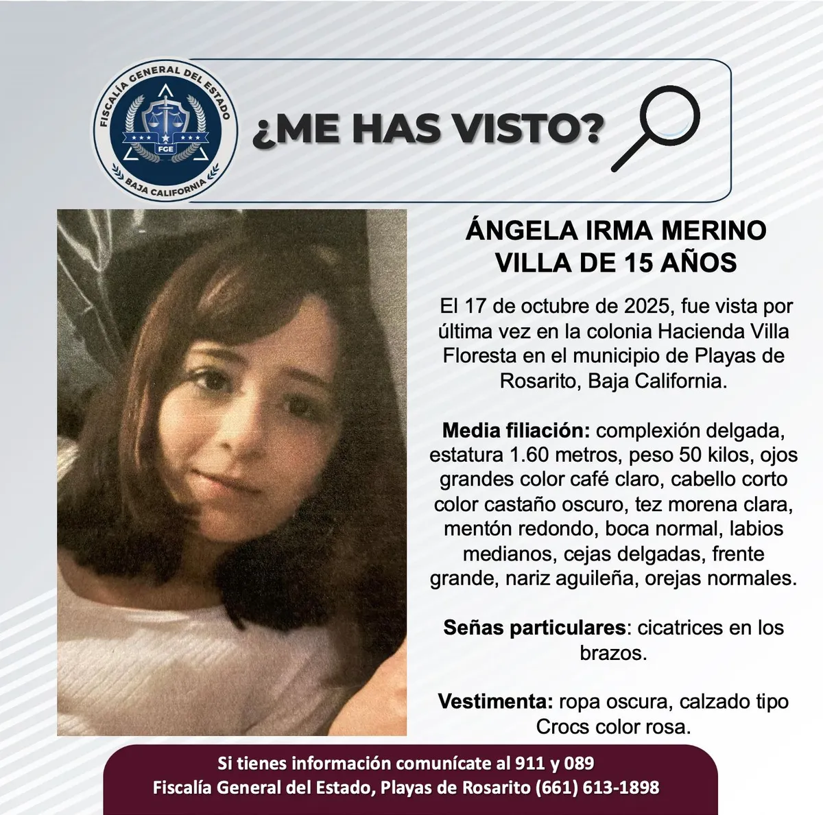 pesquisa_ángela_irma_merino_villa_15