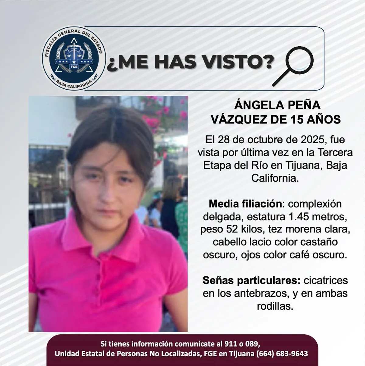 pesquisa_ángela_peña_vázquez_15