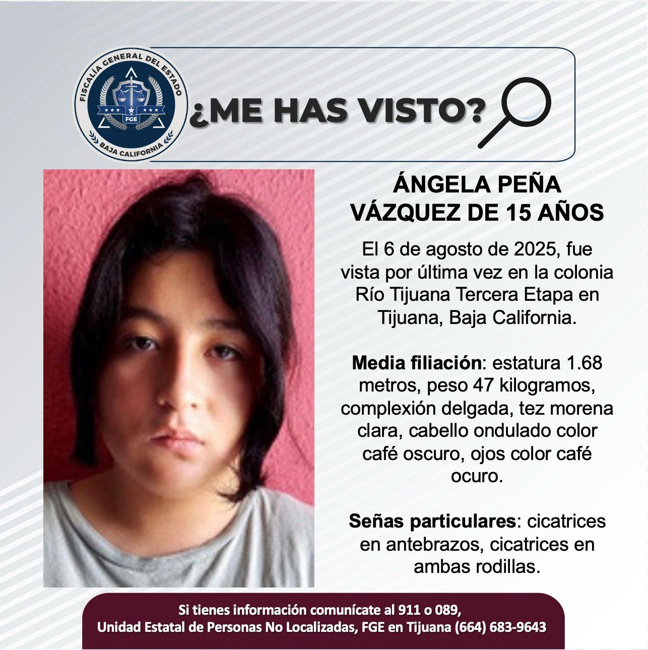 pesquisa_ángela_peña_vázquez_15