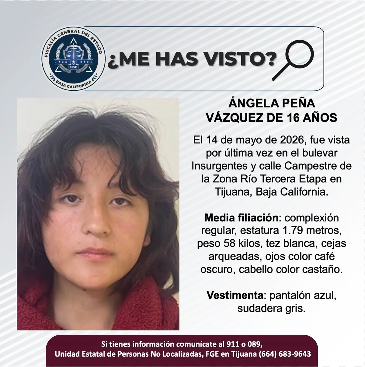 pesquisa_ángela_peña_vázquez_16