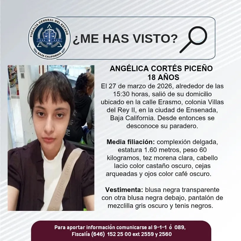 pesquisa_angélica_cortés_piceño_18