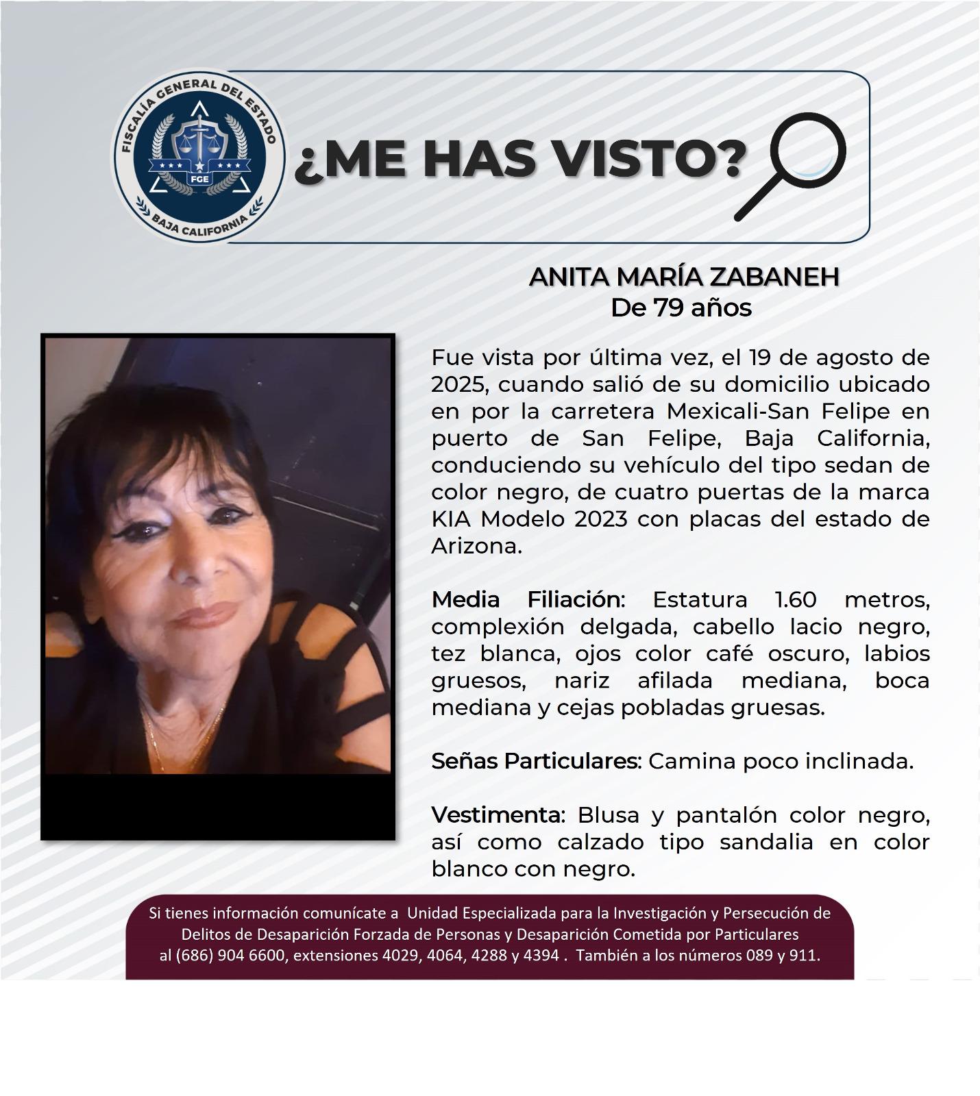 pesquisa_anita_maría_zabaneh_79