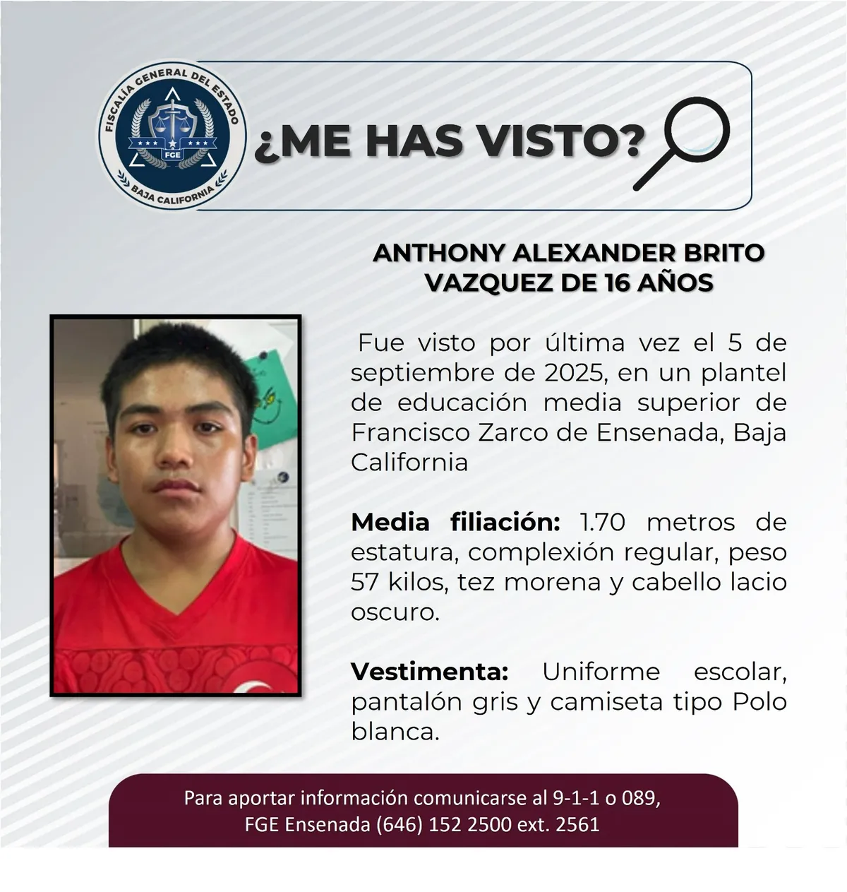 pesquisa_anthony_alexander_brito_vázquez_16