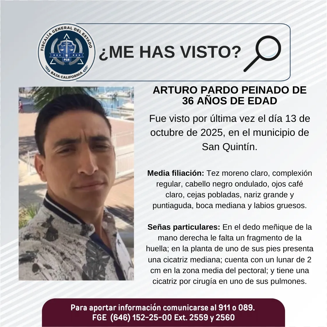 pesquisa_arturo_pardo_peinado_36