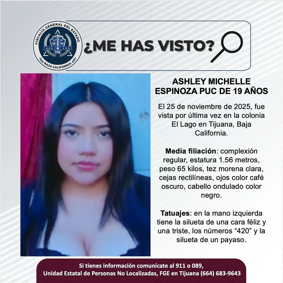 pesquisa_ashley_michelle_espinoza_puc_19