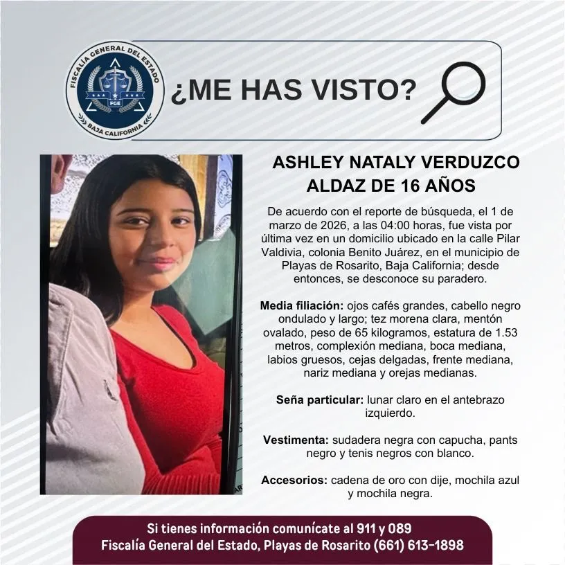 pesquisa_ashley_nataly_verduzco_aldaz_16