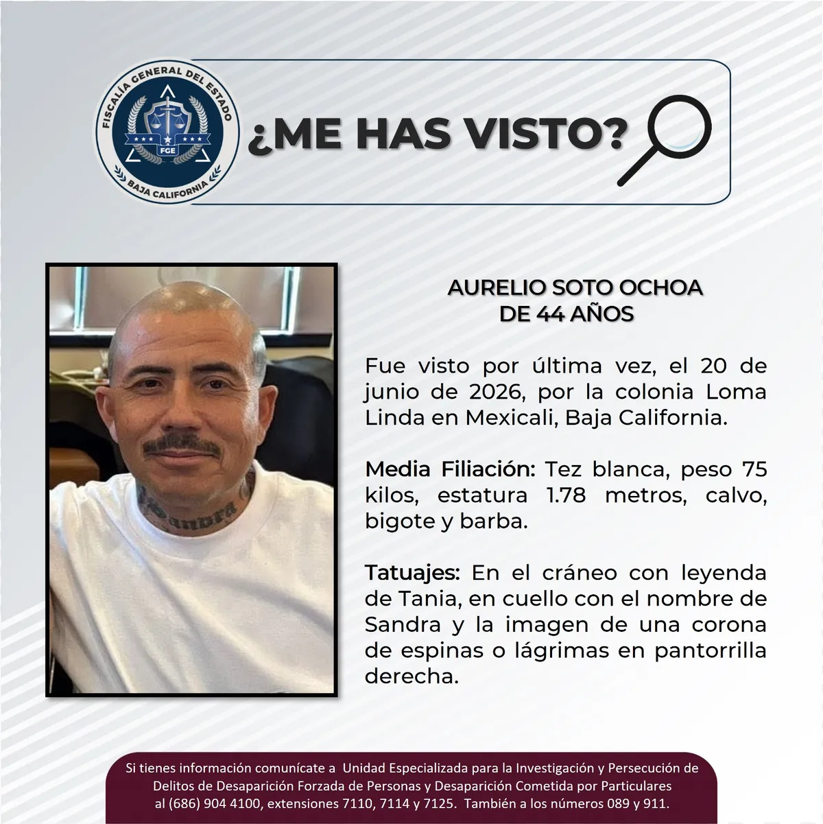 pesquisa_aurelio_soto_ochoa_44