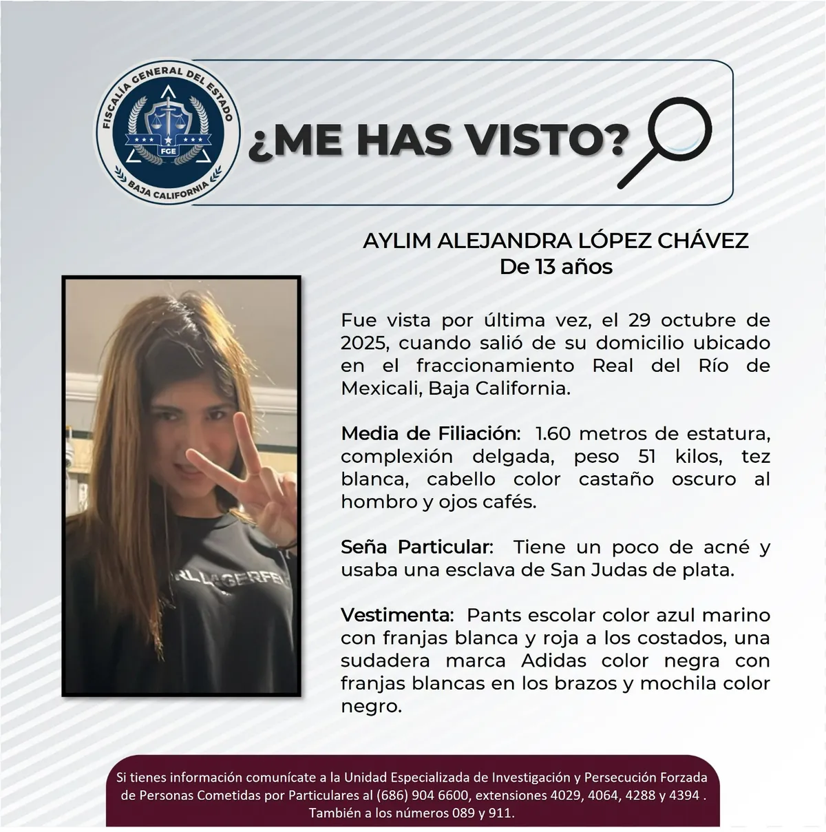 pesquisa_aylim_alejandra_lópez_chávez_13