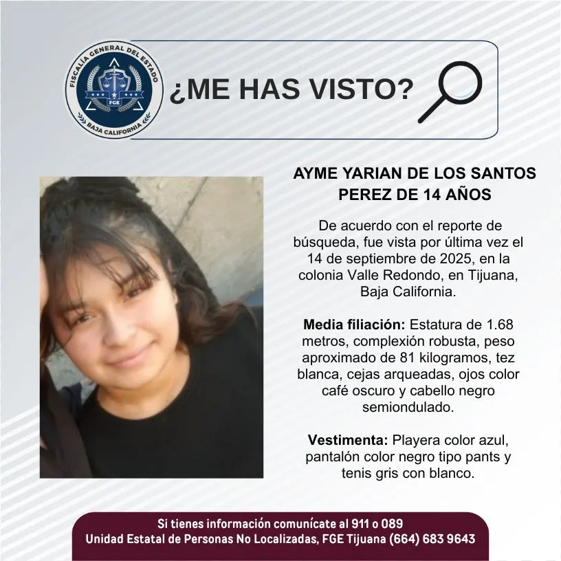 pesquisa_ayme_yarian_de_los_santos_pérez_14
