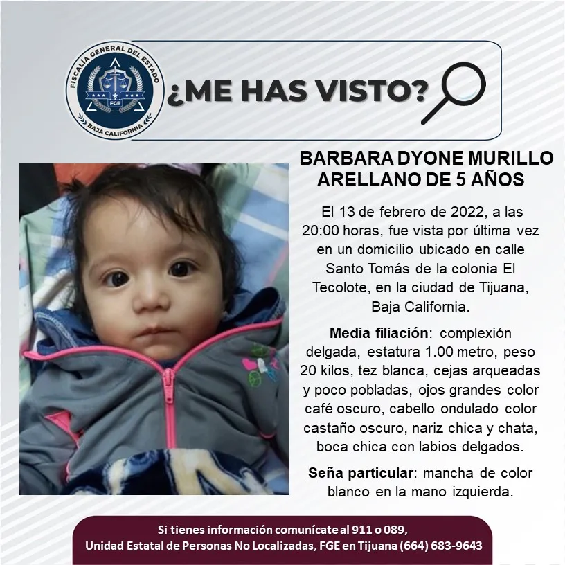 pesquisa_bárbara_dyone_murillo_arellano_05
