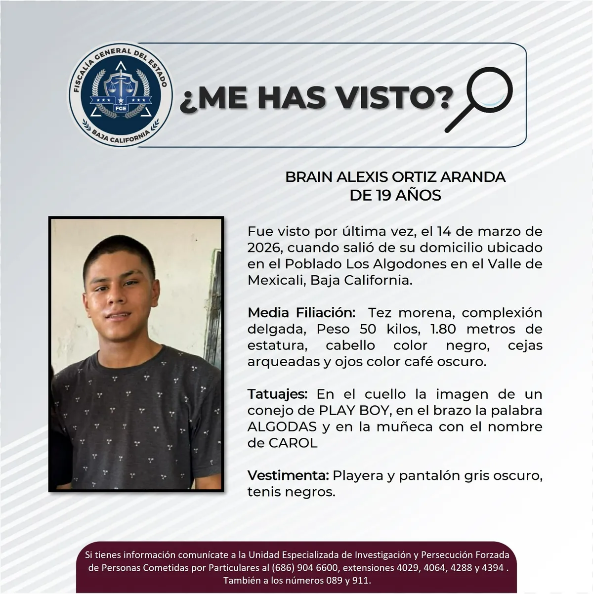 pesquisa_brain_alexis_ortiz_aranda_19