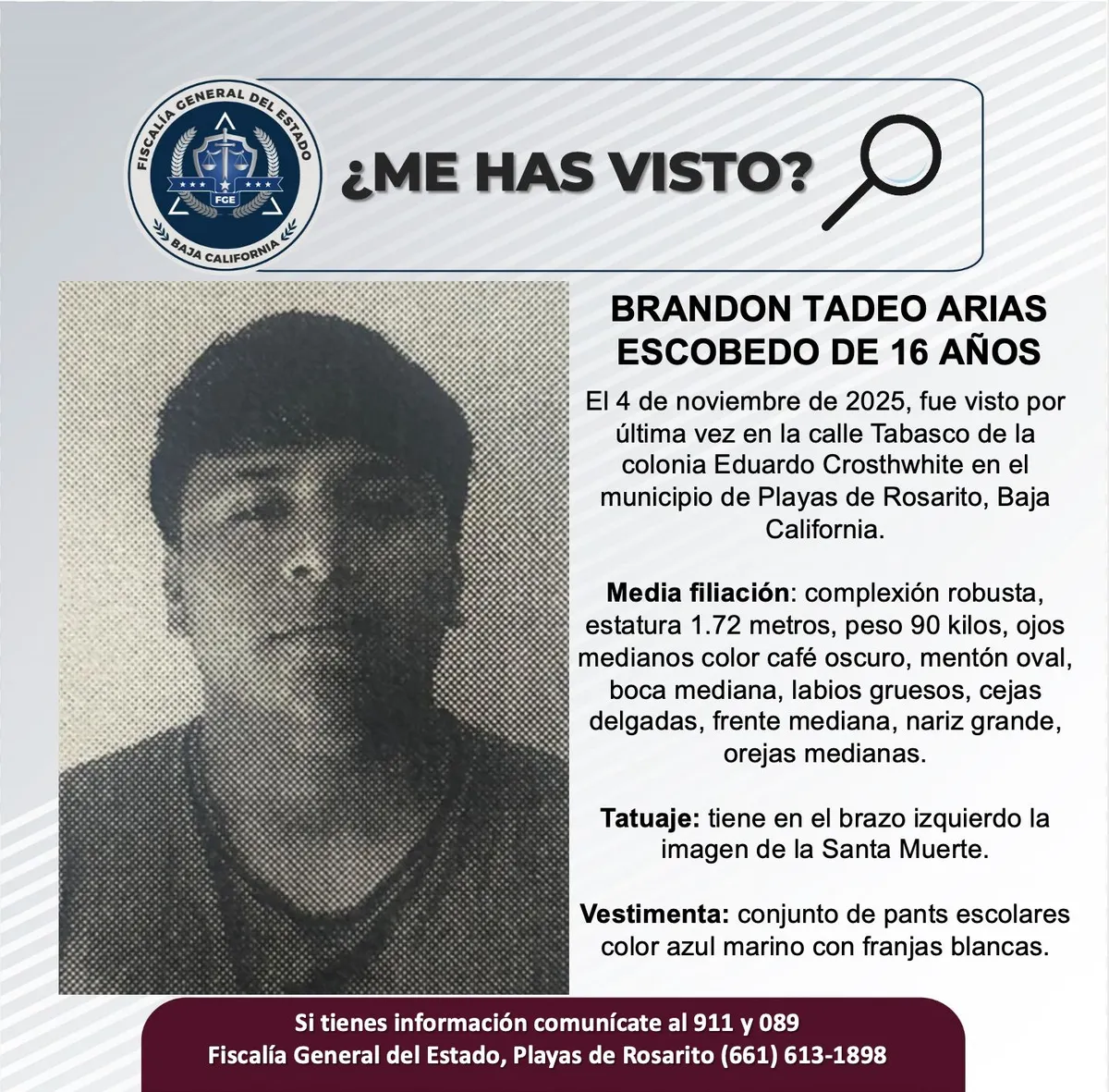 pesquisa_brandon_tadeo_arias_escobedo_16