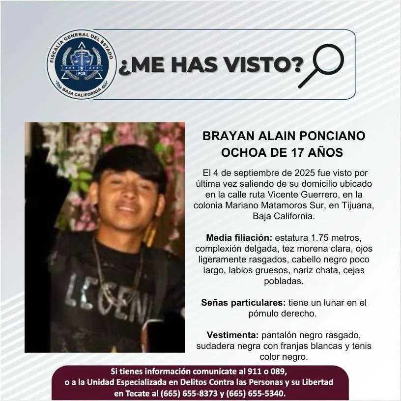 pesquisa_brayan_alain_ponciano_ochoa_17