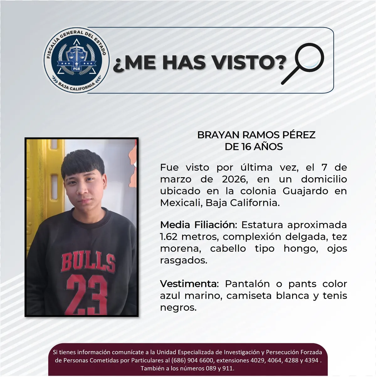 pesquisa_brayan_ramos_pérez_16